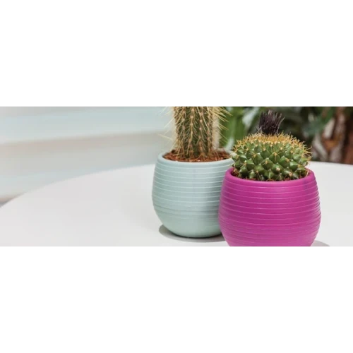 Пластмасова саксия за кактус 550мл