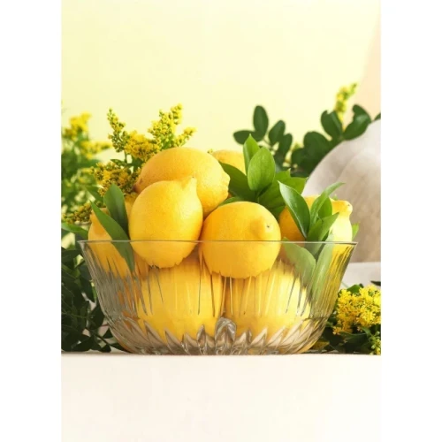 Стъклена купа голяма